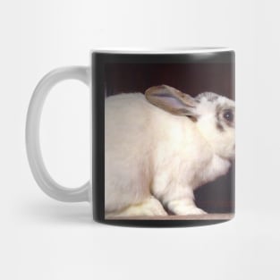 Sweetie, The Royal English Spot Rabbit of FairyCastleFarm Mug